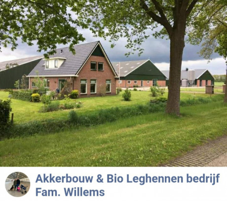 Afbeelding invoegen
